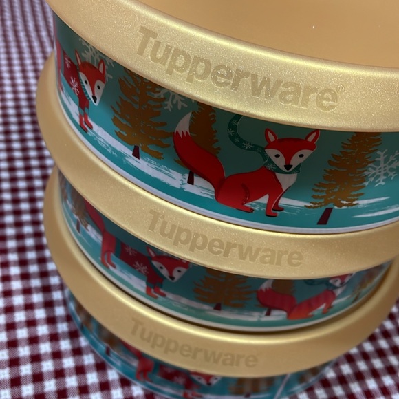 Fox Tupperware Bowl set - Picture 3 of 4